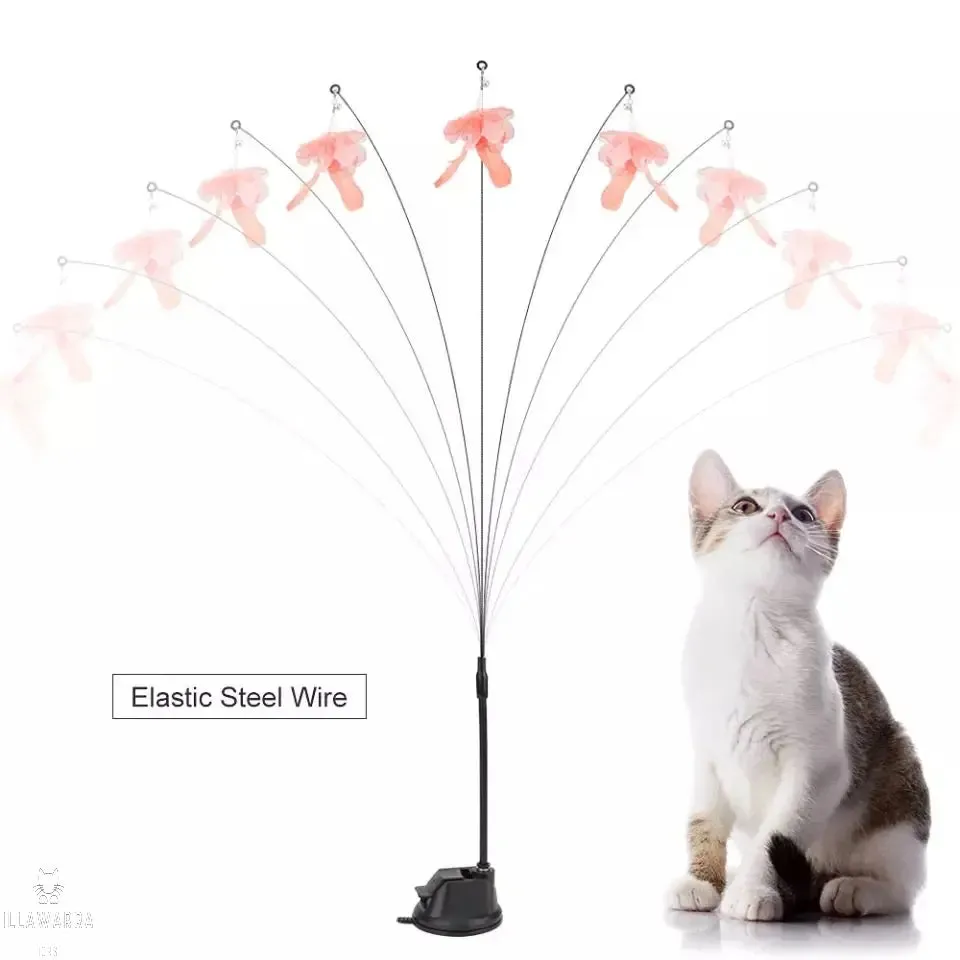 Cat Bird Toy - Bouncy Fun