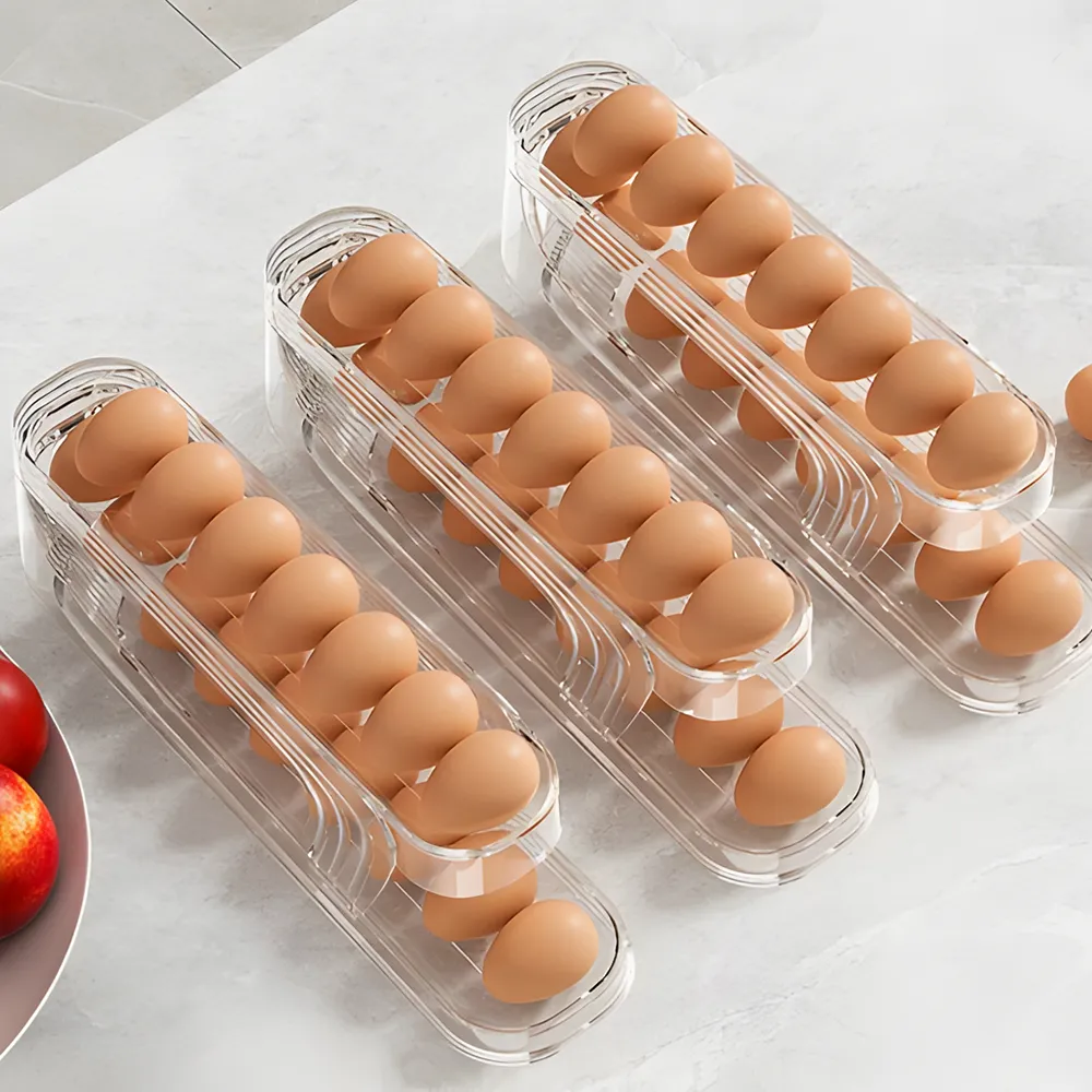 Compact Egg Storage Container Dc-346