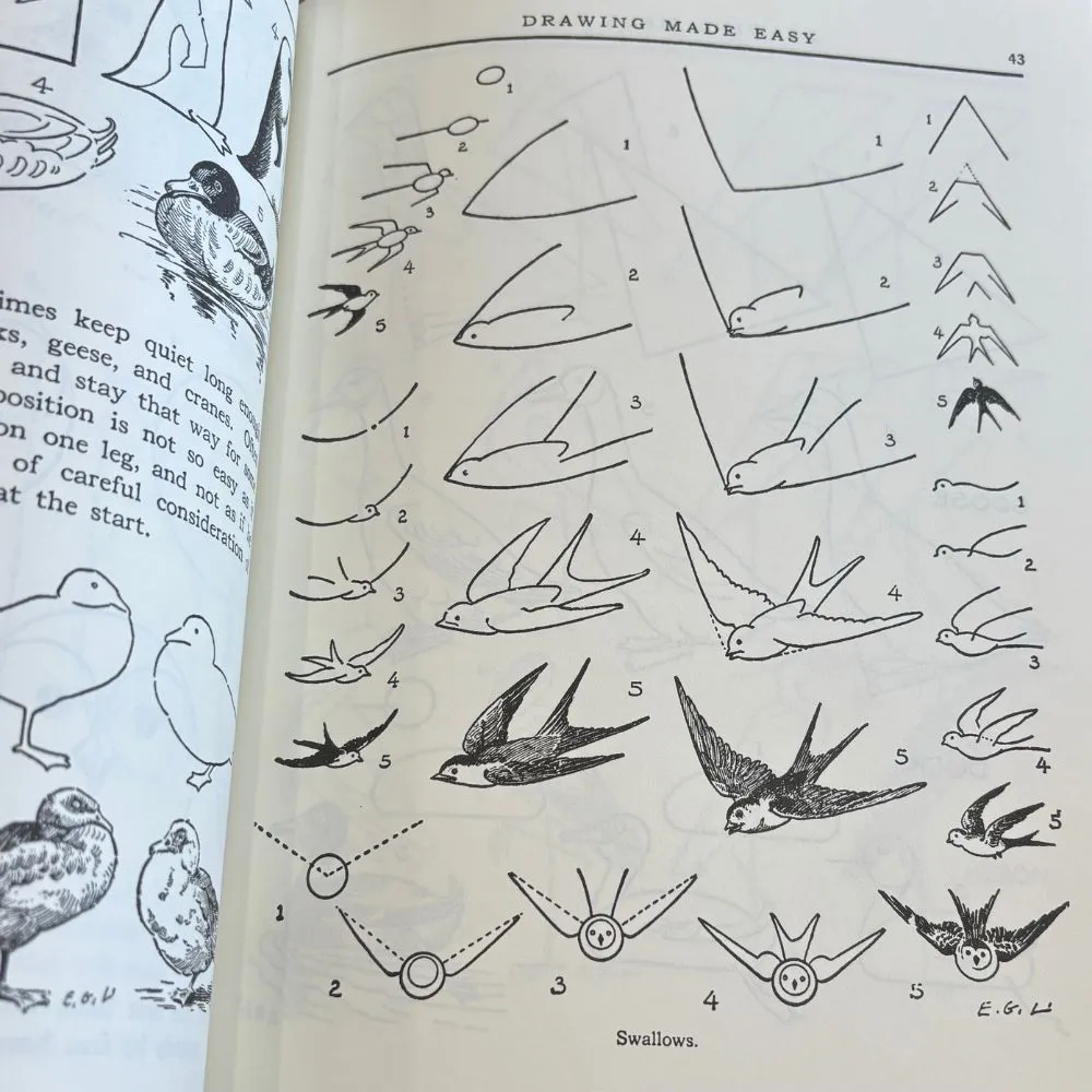 Drawing Made Easy Guide