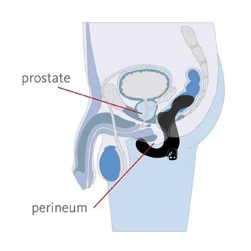 FUN FACTORY Duke PROSTATE VIBRATING MASSAGER