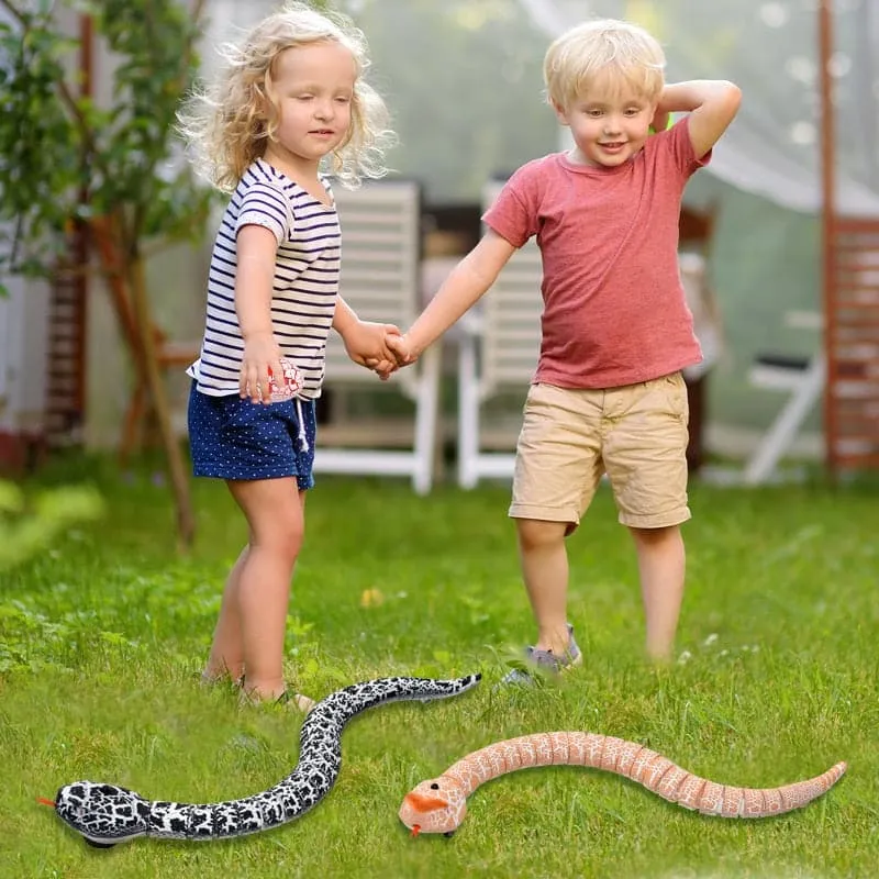 Fun RC Snake Toy