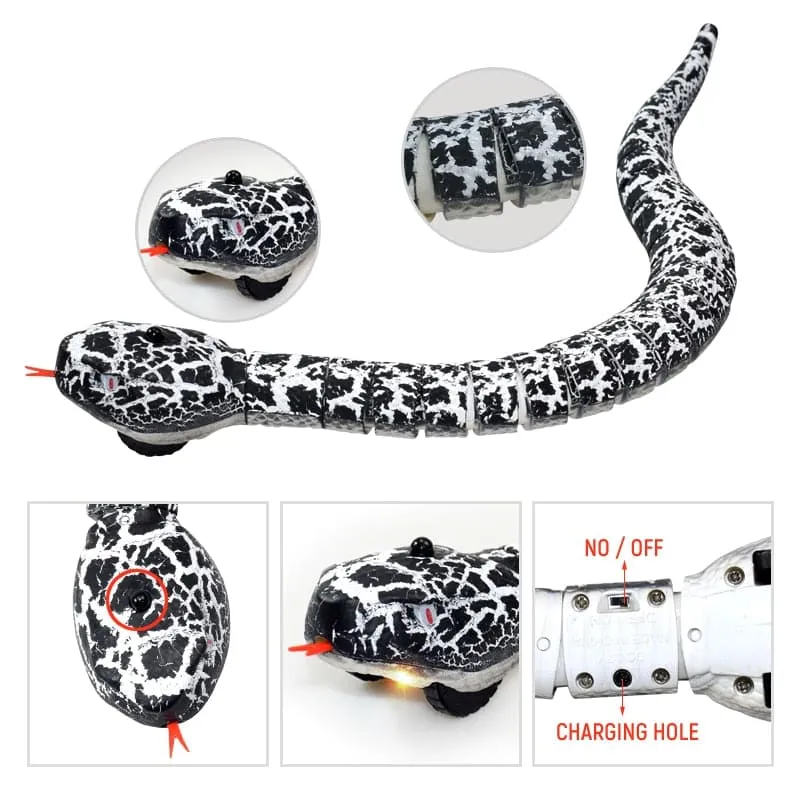 Fun RC Snake Toy