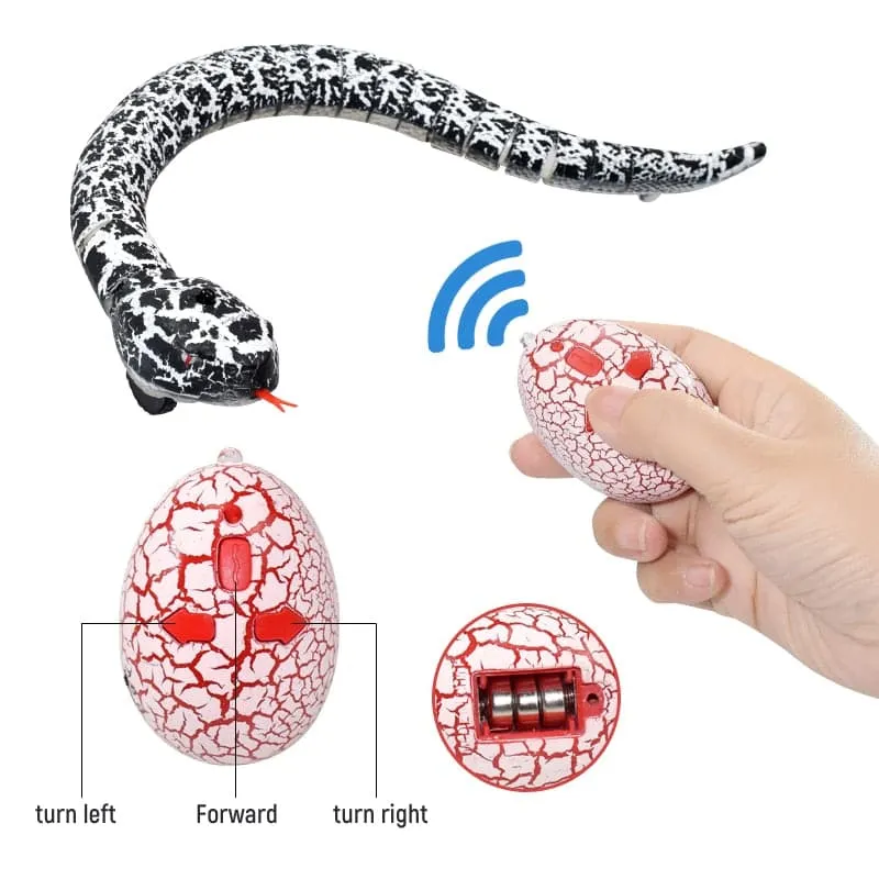 Fun RC Snake Toy