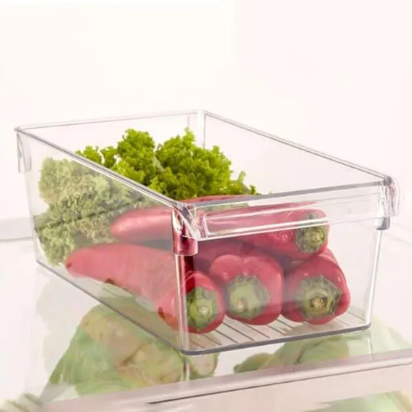 LIMON CLEAR STORAGE ORGANIZER 3LTR