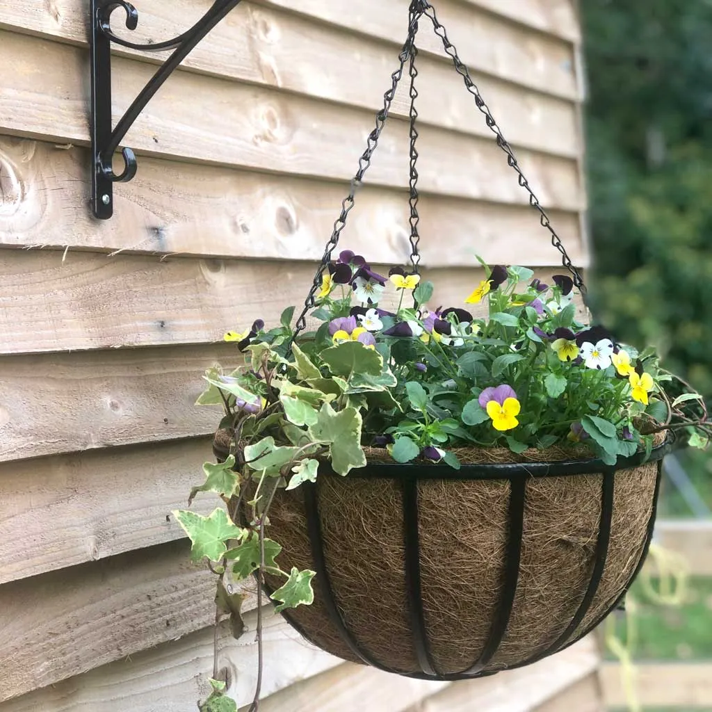 Oxford Hanging Basket