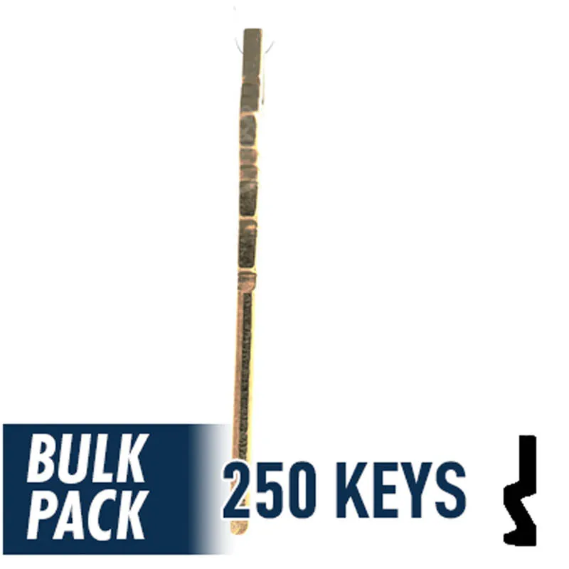 Uncut Key Blank | Schlage | SC1 - 250 Pack